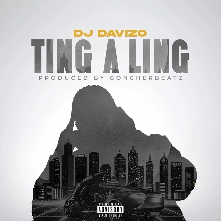 DJ Davizo - Ting A Ling Mp3 Download